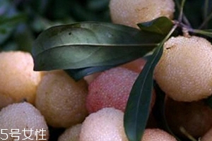 白楊梅好還是紅楊梅好吃？白楊梅和紅楊梅對比