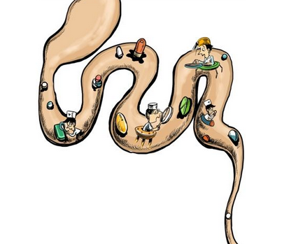 瀉藥會(huì)影響吸收嗎？瀉藥對(duì)吸收有影響嗎？