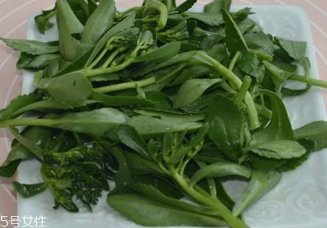 高鈣菜多少錢一斤 高鈣菜的營(yíng)養(yǎng)價(jià)值 高鈣菜多少錢一斤 高鈣菜的營(yíng)養(yǎng)價(jià)值