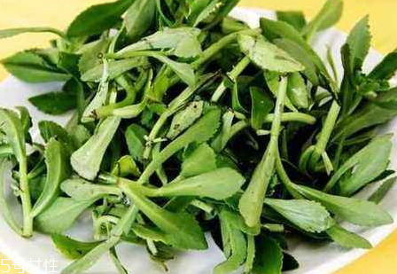 高鈣菜騙局 高鈣菜真的可以補鈣嗎 高鈣菜騙局 高鈣菜真的可以補鈣嗎