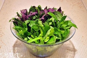 高鈣菜騙局 高鈣菜真的可以補鈣嗎 高鈣菜騙局 高鈣菜真的可以補鈣嗎