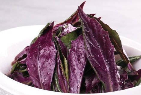 觀音菜孕婦能吃嗎 孕婦吃觀音菜的好處 觀音菜孕婦能吃嗎 孕婦吃觀音菜的好處