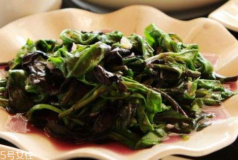 觀音菜什么人不能吃 觀音菜的適用人群 觀音菜什么人不能吃 觀音菜的適用人群