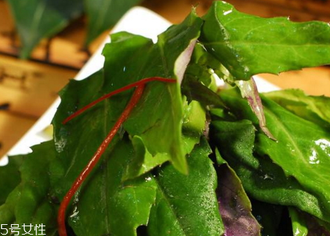 觀音菜什么人不能吃 觀音菜的適用人群 觀音菜什么人不能吃 觀音菜的適用人群