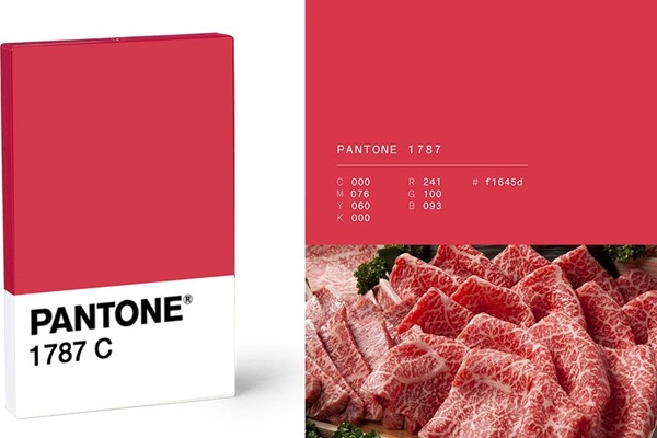 肥牛色口紅是什么顏色 肥牛色口紅配什么眼妝 肥牛色口紅是什么顏色 肥牛色口紅配什么眼妝