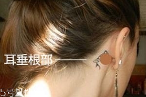 暈車貼貼哪里？暈車貼貼哪里示意圖