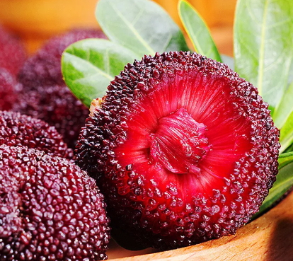 云南楊梅什么時(shí)候成熟？云南楊梅哪里產(chǎn)的