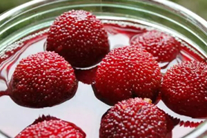 荸薺楊梅多少錢(qián)一斤？荸薺楊梅什么時(shí)候上市