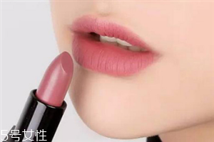 豆沙色口紅適合黑皮嗎 紀梵希小羊皮豆沙色是幾號