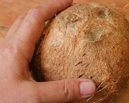 帶拉環(huán)的椰子怎么打開(kāi)？拉環(huán)斷了椰子怎么打開(kāi)