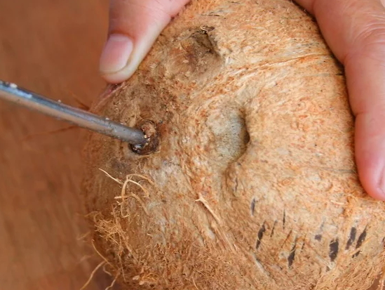 帶拉環(huán)的椰子怎么打開(kāi)？拉環(huán)斷了椰子怎么打開(kāi)