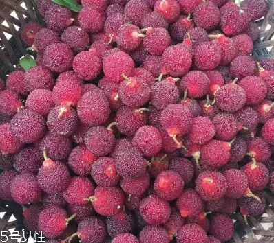 烏酥楊梅多少錢一斤？烏酥楊梅好吃嗎