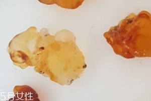 桃膠能生吃嗎？生吃桃膠可以嗎？