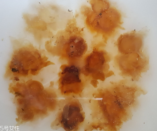 桃膠能生吃嗎？生吃桃膠可以嗎？