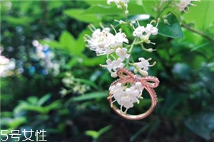 戒指掉進下水道怎么辦？戒指掉下水道了怎么撿