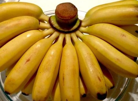 芝麻蕉的營養(yǎng)價值 芝麻蕉的功效與作用 芝麻蕉的營養(yǎng)價值 芝麻蕉的功效與作用