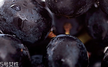 黑提是葡萄嗎？黑提和葡萄的區(qū)別