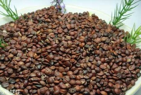 柏子仁和酸棗仁怎么吃 柏子仁和酸棗仁的功效 柏子仁和酸棗仁怎么吃 柏子仁和酸棗仁的功效