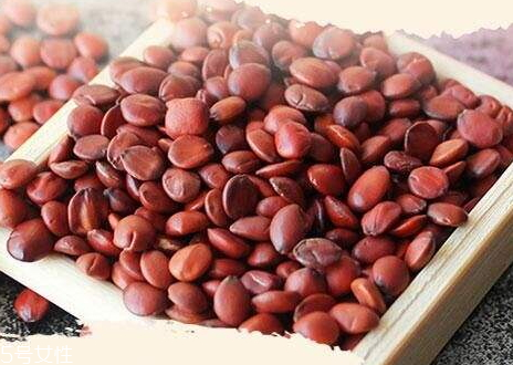 酸棗仁不能和什么一起吃 吃酸棗仁注意事項 酸棗仁不能和什么一起吃 吃酸棗仁注意事項