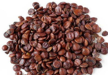 酸棗仁一次吃多少克 酸棗仁吃多了會(huì)怎么樣 酸棗仁一次吃多少克 酸棗仁吃多了會(huì)怎么樣