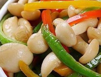 白玉菇怎么吃？白玉菇怎么做好吃