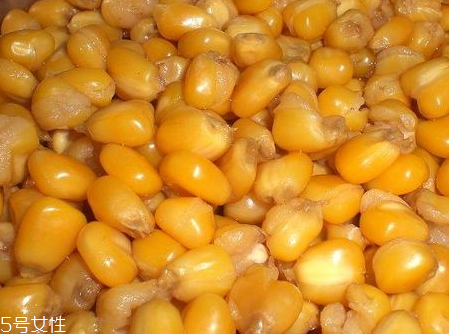 高粱酒和玉米酒的區(qū)別 高粱酒和玉米酒哪個(gè)好喝 高粱酒和玉米酒的區(qū)別 高粱酒和玉米酒哪個(gè)好喝