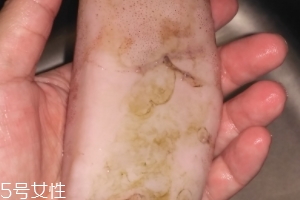 魷魚是海鮮嗎？魷魚屬于海鮮嗎？