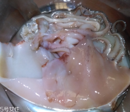 魷魚是海鮮嗎？魷魚屬于海鮮嗎？