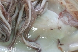 魷魚是烏賊嗎？魷魚跟烏賊是一種嗎？