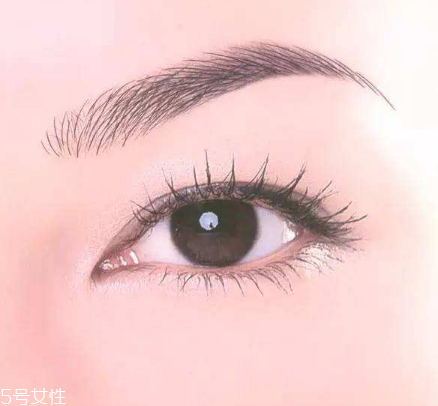 粉黛眉一般多少錢(qián)？粉黛眉市場(chǎng)價(jià)格