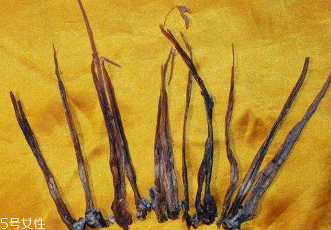 蛇鞭可以和什么泡酒 蛇鞭泡酒配方 蛇鞭可以和什么泡酒 蛇鞭泡酒配方