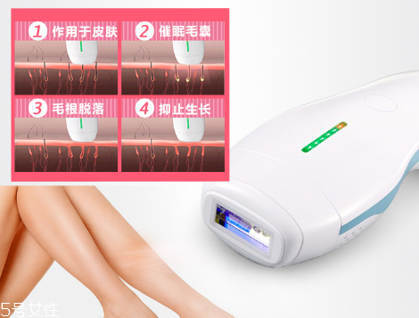 deess脫毛儀多少錢？蒂絲脫毛儀價格