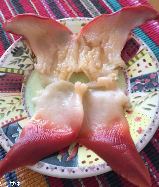 北極貝是海鮮嗎？北極貝介紹