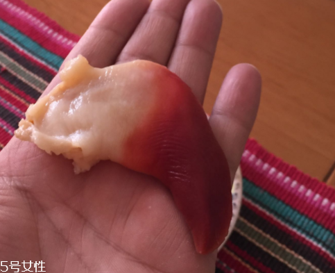 北極貝是海鮮嗎？北極貝介紹