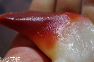 北極貝能不能煮？煮北極貝可以嗎？