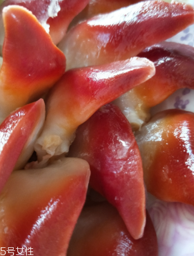 北極貝可以涮火鍋嗎？北極貝可以下火鍋吃嗎？