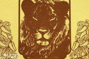 德國辣椒膏藥怎么樣？德國辣椒膏藥使用方法