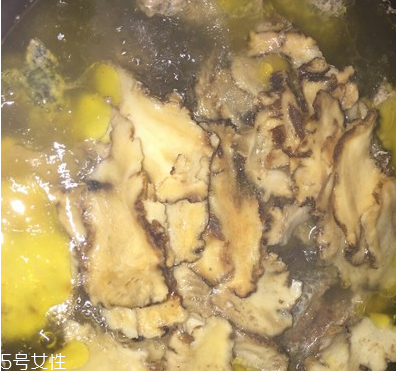 烏骨雞是烏雞嗎？烏骨雞是什么雞？