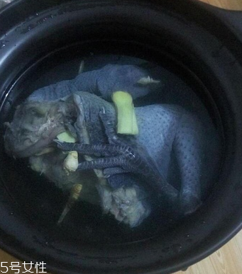 烏骨雞是烏雞嗎？烏骨雞是什么雞？