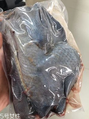 烏雞下奶嗎？烏雞怎么吃下奶？