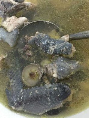 烏雞是發(fā)物嗎？烏雞屬于發(fā)物嗎？