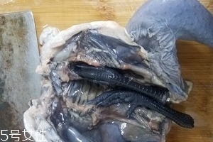 烏雞是公雞好還是母雞好？烏雞買公雞還是母雞？