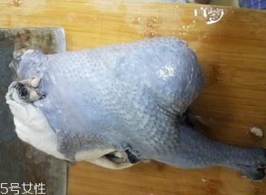 烏雞是公雞好還是母雞好？烏雞買公雞還是母雞？