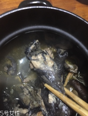 烏雞是公雞好還是母雞好？烏雞買公雞還是母雞？