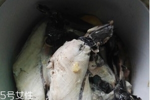 烏雞是熱性還是涼性？烏雞偏熱還是偏涼？