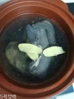 烏雞是熱性還是涼性？烏雞偏熱還是偏涼？