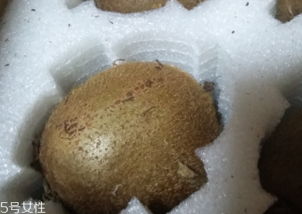 綠心獼猴桃硬的能吃嗎？硬的綠心獼猴桃能吃嗎？