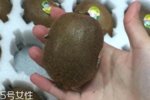 綠心獼猴桃怎么催熟？綠心獼猴桃的催熟方法