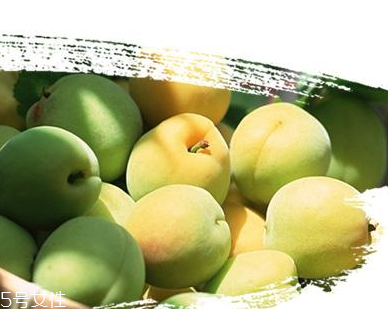 青梅丸的功效與作用 青梅丸能治什么??？