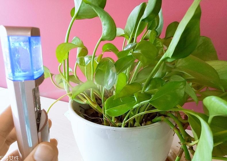 belulu納米噴霧儀有用嗎 belulu納米噴霧儀怎么用 belulu納米噴霧儀有用嗎 belulu納米噴霧儀怎么用